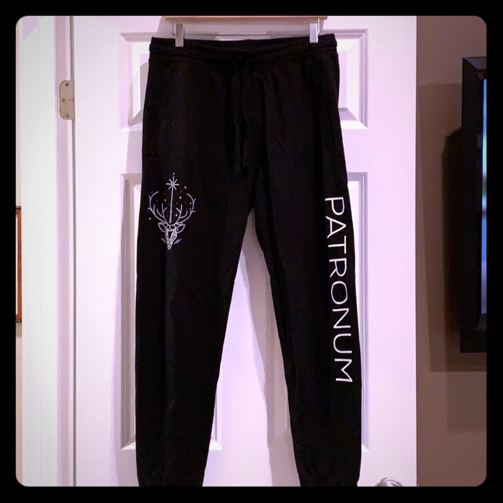 Box Lunch Harry Potter sweats Size M